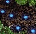 Deck Spot Lights - Blue